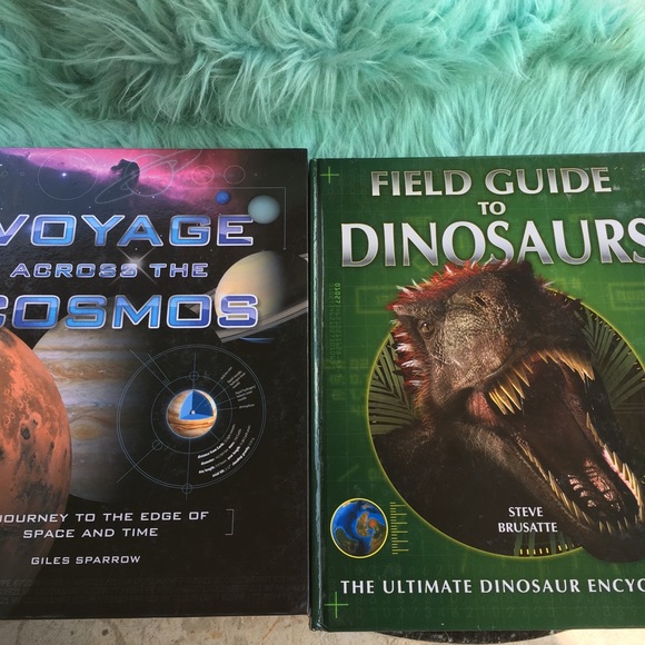 12 Book Bundle, Educational & Fun - Picture 8 of 8